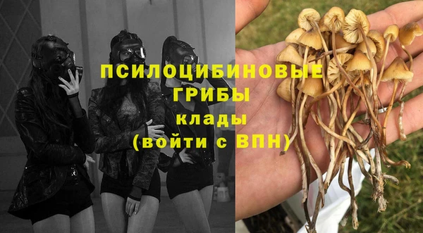 мет Липки