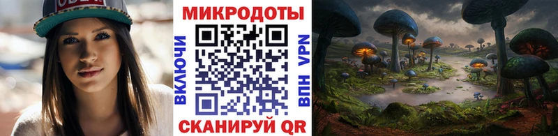Псилоцибиновые грибы Cubensis сайты даркнета официальный сайт Ростов